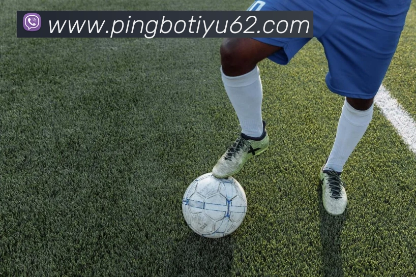 App Interface Preview